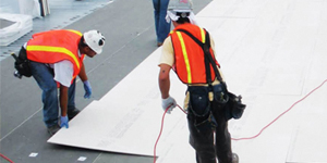 single ply roofing case study